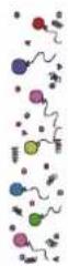 BABY LOCK Ellisimo Gold 2 - Character/Decorative Stitches Caractères/points décoratifs - 1