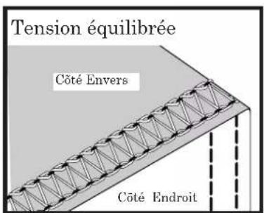 BABY LOCK Cover Stitch - POINT OURLET COUVERT LARGE - 6MM (SUITE) - 2