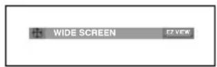 SAMSUNG DVD-P290K - To play back using aspect ratio (DVD) - 1