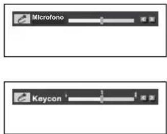 SAMSUNG DVD-P290K - Volumen del micrófon/Control de tonos - 1