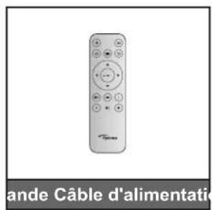 OPTOMA ML1080 - RG2 - 2