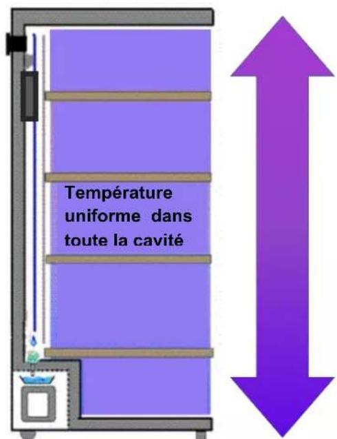 Température uniforme dans toute la cavité