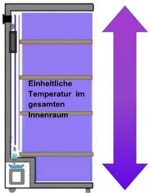 CLIMADIFF PCLP160 - Einzelraum Weinkeller mit Einzeltemperatur: - 1
