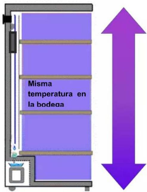 CLIMADIFF PCLP160 - Vinoteca mono compartimento mono temperatura: - 1