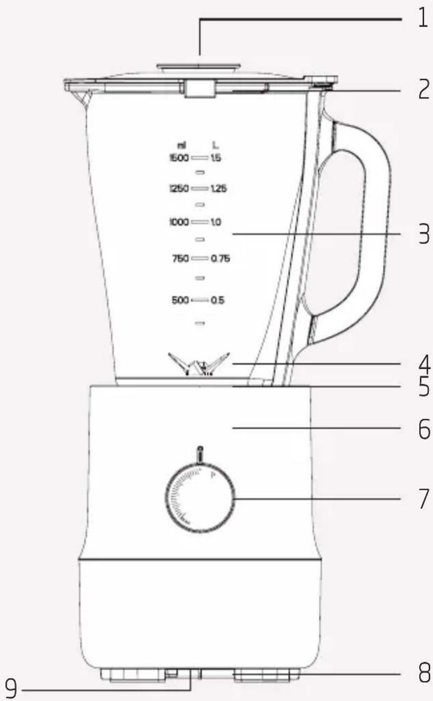 GRUNDIG TBN 81808 BX - Pamje e përgjithshme - 1