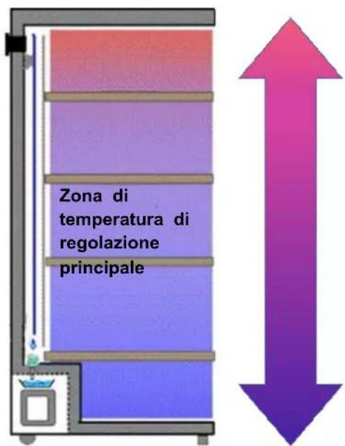 Zona di temperatura di regolazione principale