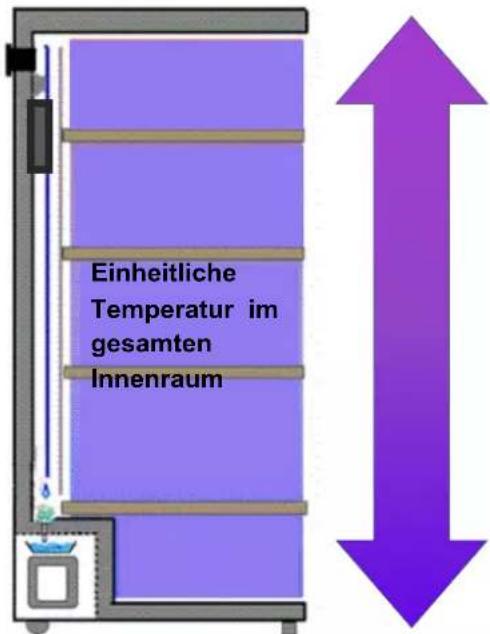 Einheitliche Temperatur im gesamten Innenraum