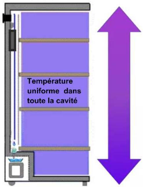 Température uniforme dans toute la cavité