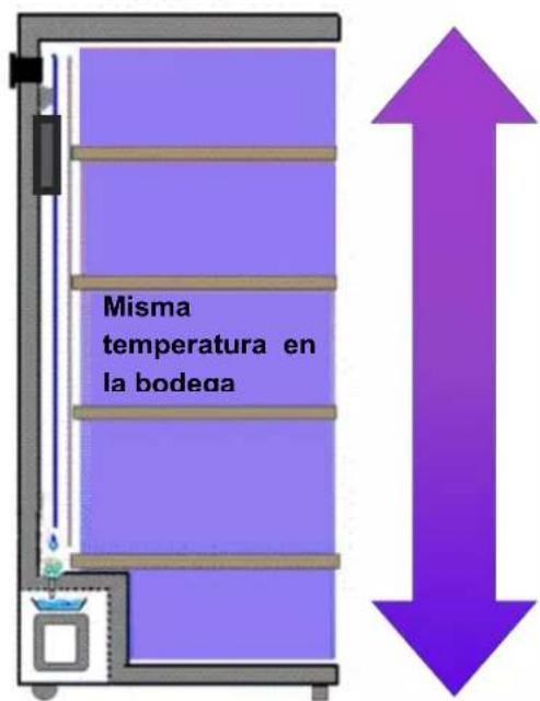 Misma temperatura en la bodega