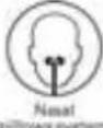 ResMed AirFit P10 - Symbols - 1