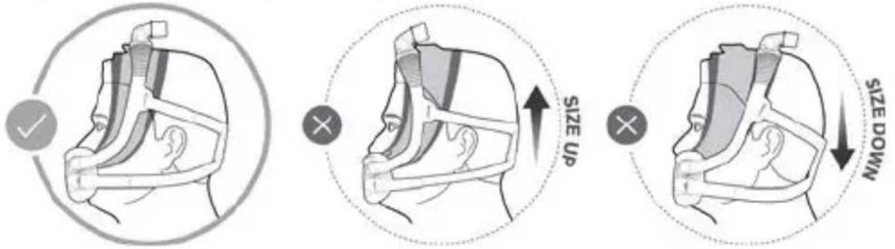 ResMed AirFit F30i - Maskenin boyutları - 1