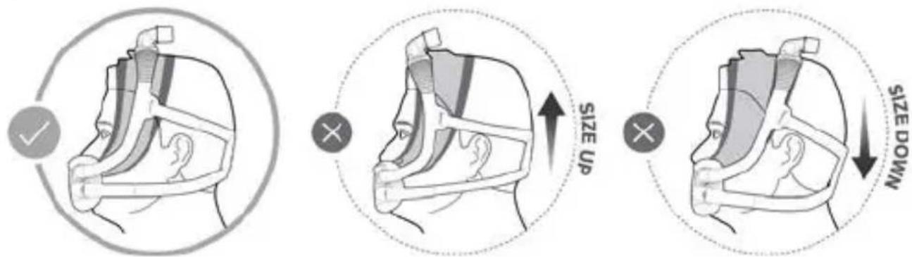 ResMed AirFit F30i - Elección de la talla de la mascarilla - 1