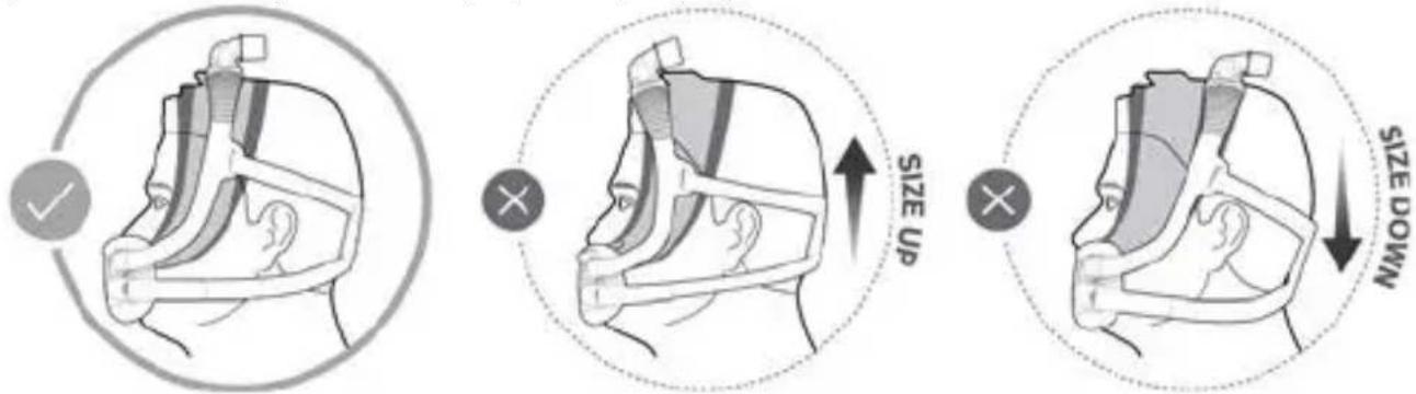 ResMed AirFit F30i - Καθορισμός διαστάσεων μάσκας - 1