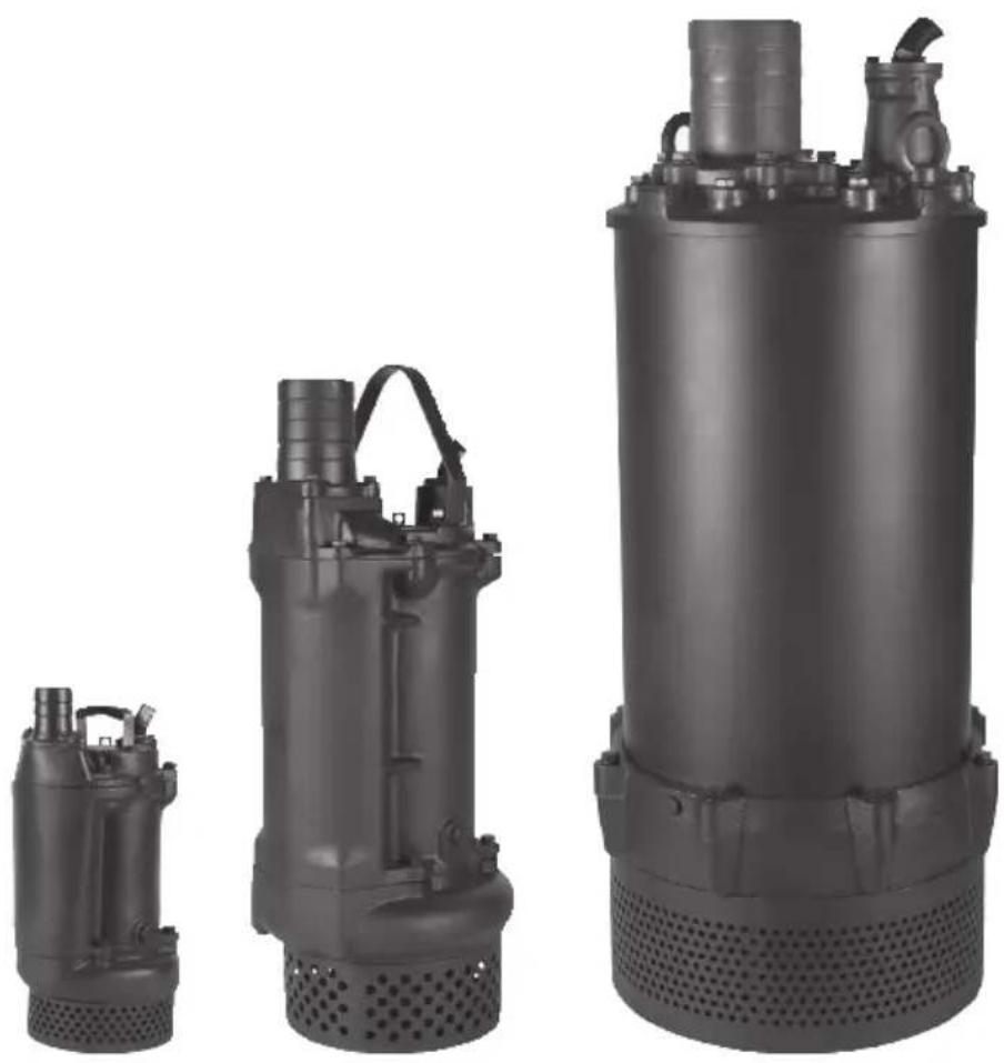 Grundfos DWK - 1