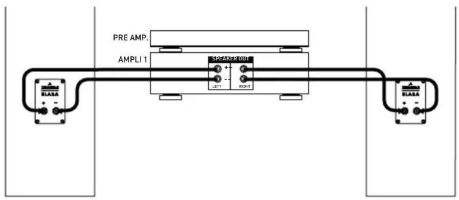 TRIANGLE Elara LN07 - Choix de l'Amplificateur - 1