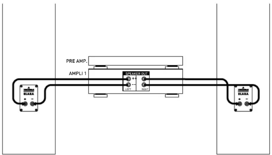 TRIANGLE Elara LN07 - Choose the Amplifier - 1