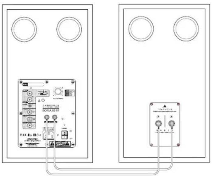 TRIANGLE Borea BR02 BT - CONNECTING THE SPEAKERS - 1