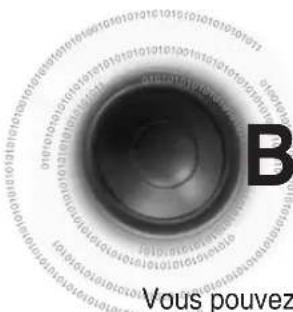 Vous pouvez