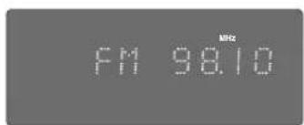 FM 98.10