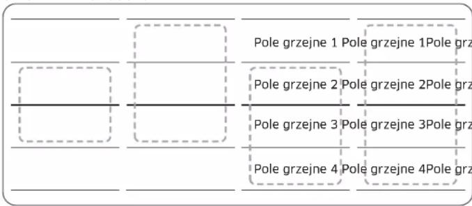 SAMSUNG NZ85C6058KK - Panel Flex Plus (tylko modelez Funktion panelu Flex Plus) - 2