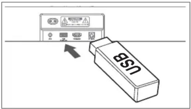 HISENSE MH6TL4TB - Uporaba USB - 1