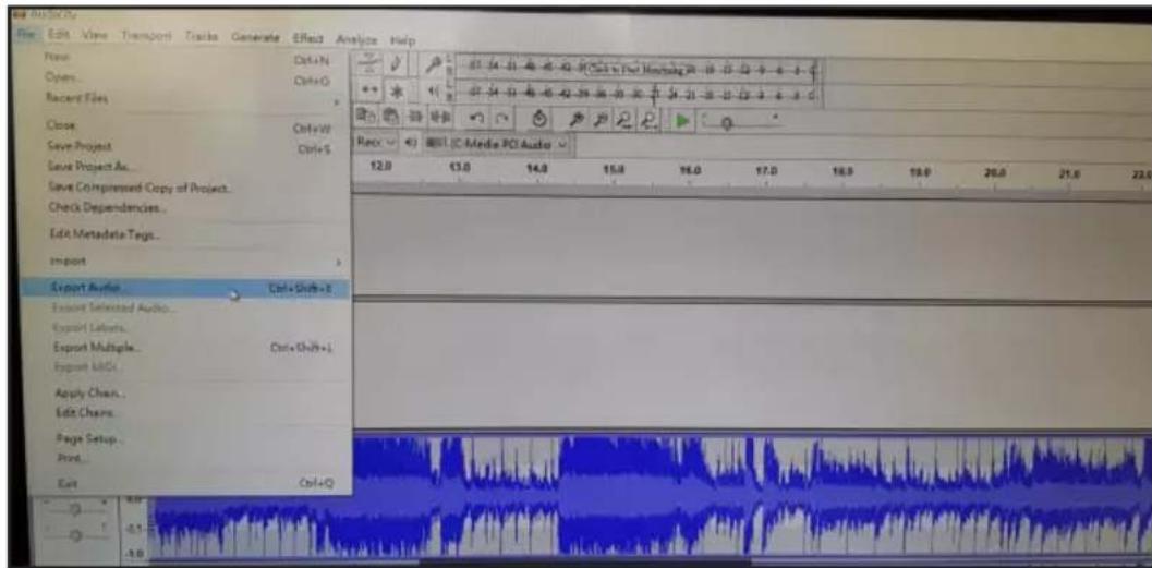 BIGBEN INTERACTIVE TD115 SPS - How to operate Audacity - 3