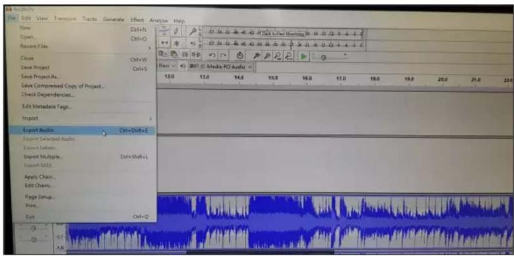BIGBEN INTERACTIVE TD115 SPS - Funzionamento di Audacity - 3