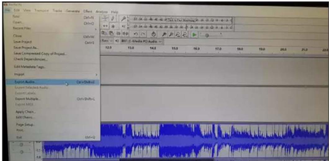 BIGBEN INTERACTIVE TD115 SPS - Audacity starten - 3