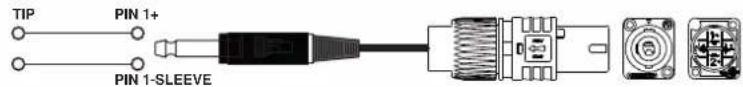 FBT Mitus 112 - 212FS - 2