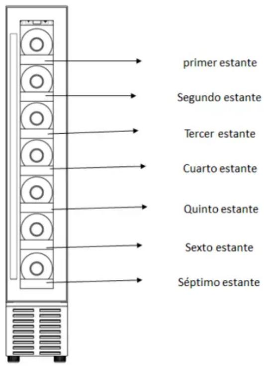 primer estante Segundo estante Tercer estante Cuarto estante Quinto estante Sexto estante Séptimo estante