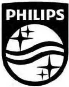 PHILIPS AWH6201 - 漏电保护插头注意事项 - 2