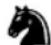 LEXIBOOK Chessman Elite CG1300_15 - Mosse - 6