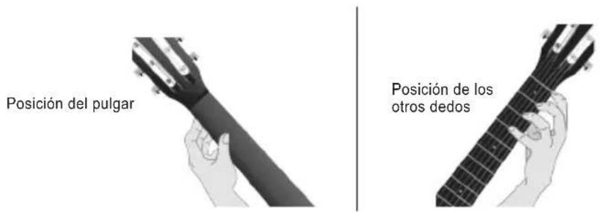 Posición del pulgar Posición de los otros dedos