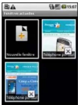 ZTE Link - Basculer entre plusieurs fenêtres de navigation - 1