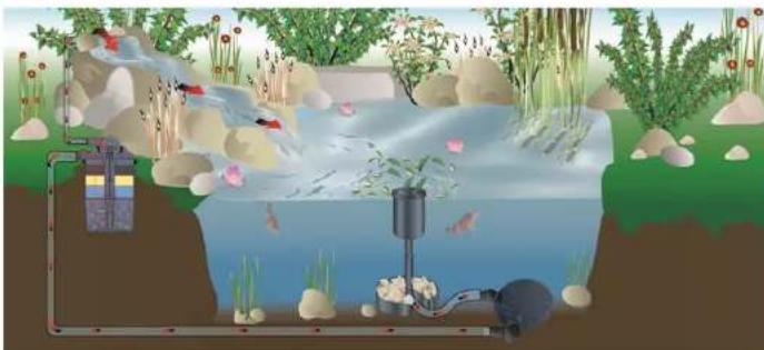 Fiap Pond Active 4.000 - Recyclage - 1