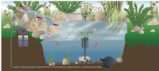 Fiap Pond Active 4.000 - 2