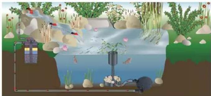 Fiap Pond Active 4.000 - Entsorgung - 1
