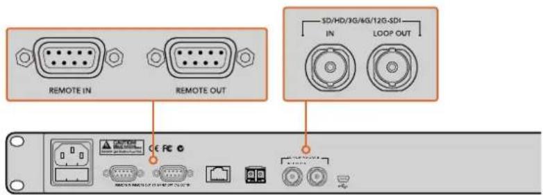 Blackmagic Design Duplicator 4K - Liaison en chaîne - 1