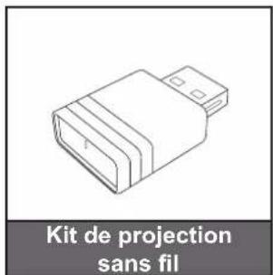 ACER PL2530i - Accessoires en option - 4