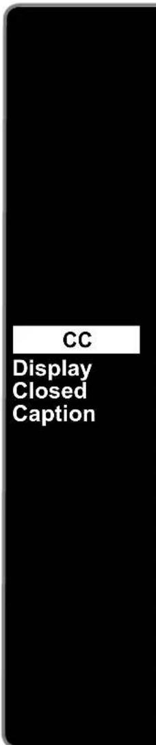 PANASONIC Viera TH-50PX80 - Closed Caption - 3