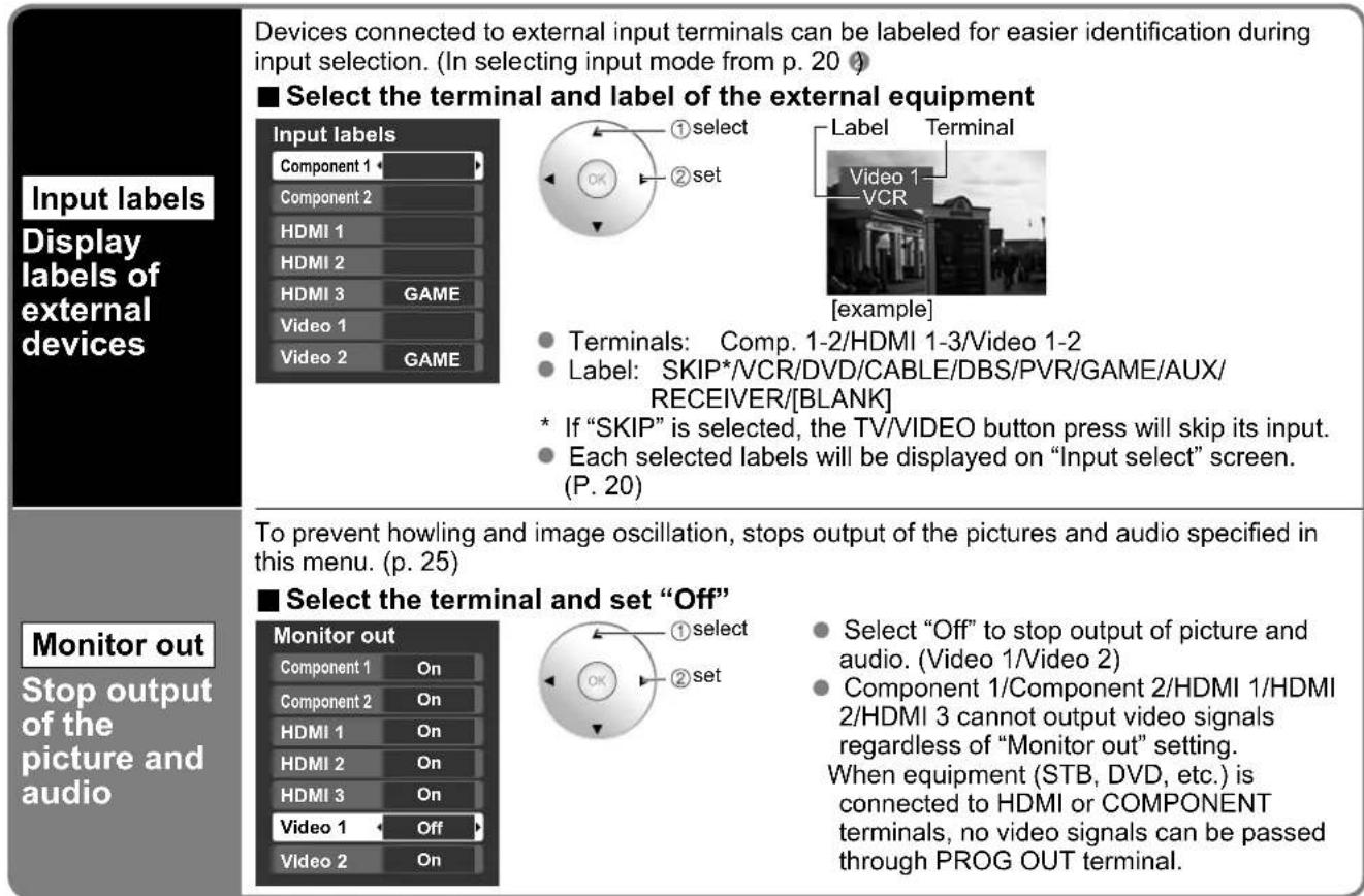 PANASONIC Viera TH-50PX80 - Input Labels/Monitor Out - 2