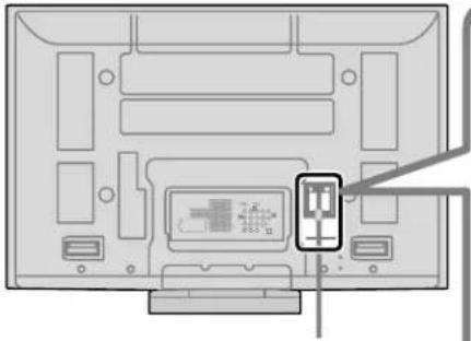 PANASONIC Viera TH-50PX80 - AC cord connection - 1