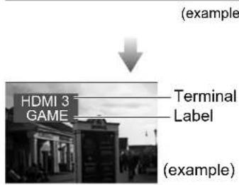 PANASONIC Viera TH-50PX80 - Input Select - 6