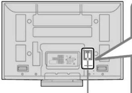 PANASONIC Viera TH-50PX80 - Raccordement du cordon d'alimentation secteur - 1