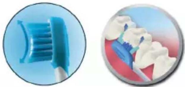 GRUNDIG TBB 80 - Features of the bristles - 1