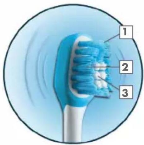 GRUNDIG TBB 80 - Medium brush head - 1