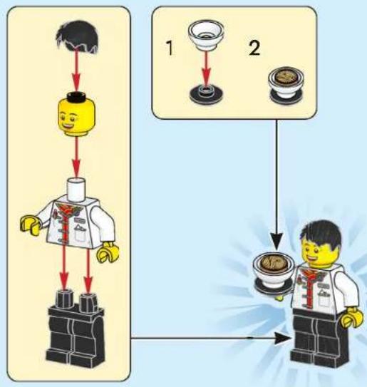 LEGO The Spring Festival 80113 - 278 - 150
