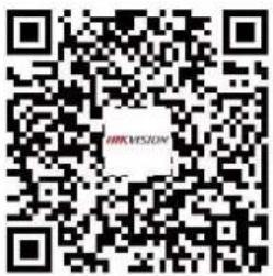 Hikvision DS-D42V24-H - 1