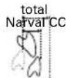 ResMed Narval CC - REF - 5