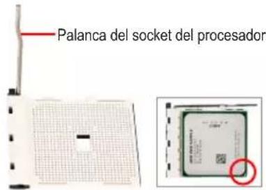GIGABYTE GA-H55M-S2HP - Instalación del procesador AMD (omita este paso si la placa base tiene una CPU integrada) - 1